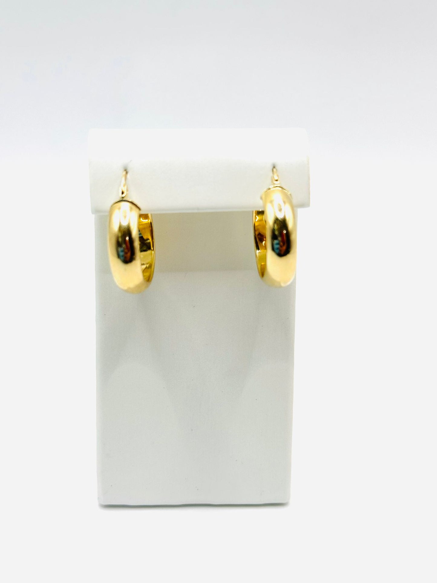 Designer Women's Hoop Earrings in 10K Gold - No.3